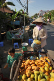 Mekong Delta