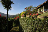 Ella, Ambiente Hotel