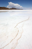 Uyuni Salar, Isla del Pescador