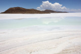 Uyuni Salar, Isla del Pescador