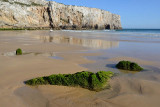 Beliche 