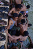 Timkat (Epiphany celebration) at Gondar