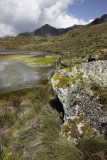 Cajas National Park, Ecuador