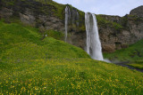 Seljalandsfoss