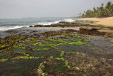 Tangalle beach