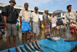 Tangalle harbour