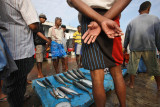 Tangalle harbour