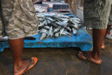 Tangalle harbour