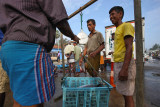 Tangalle harbour