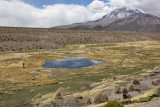 Sajama National Park