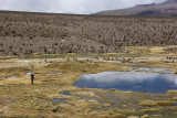 Sajama National Park