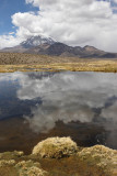 Sajama National Park