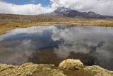 Sajama National Park