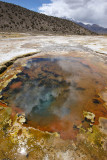 Sajama National Park, Geyser Field