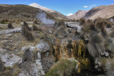 Sajama National Park, Geyser Field