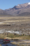 Sajama National Park, near Sajama village