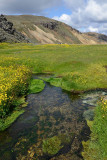 Landmannalaugar camp