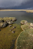 Sajama National Park