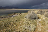 Sajama National Park