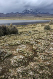 Sajama National Park