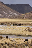 From La Paz to Sajama National Park