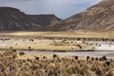 From La Paz to Sajama National Park