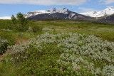 Skaftafellsjokull trail