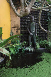 Brief Garden Bevis Bawa