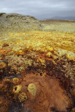 Danakil Depression, Dallol