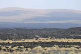 Lava field near Camp Dodem