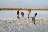 Lake Afdera salt collection
