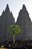 Prambanan Temples, Central Java, Indonesia