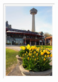 Niagara Skylon Tower