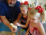 THEN IT WAS OFF TO SEE THE ANIMALS..................THE GIRLS LOVED THE CHICKS