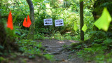 Cougar Mountain Trail Run Series #3:10/20M - Cougar Mt, WA - 7.13.2013