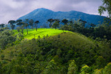 View from Train. Nuwara Eliya to Ella