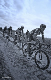 Paris Roubaix 2014