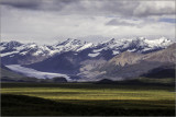 Morning Light-Denali Hwy