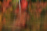 Fall Reflections 3716.jpg