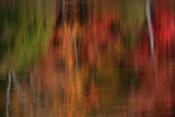 Fall Reflections 3730