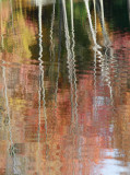 Fall Reflections 9593