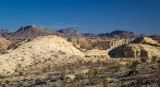 _MG_3695.jpg