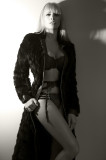 Brittany