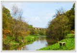  River Derwent at Gibside