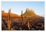 Lindisfarne Castle- 0044