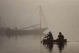 Union Bay, BC (near Courtenay, BC)