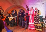 Performers at Tablao Cordobes Flamenco