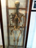 Skeleton of Early Inhabitant of Canary Islands (~ 100 BC)