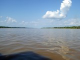 The Wide Amazon River