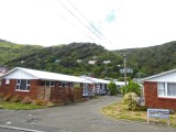 Ground level and Hillside housing near Wellington, NZ